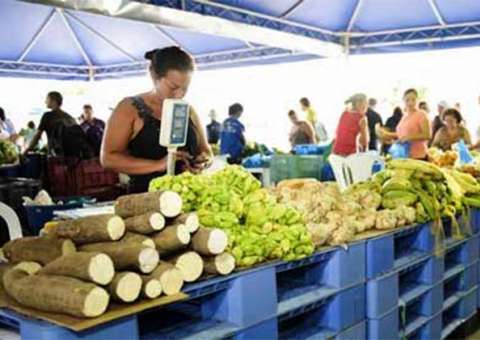 ADS ajuda na venda de uma tonelada de macaxeira dos produtores do Amazonas 