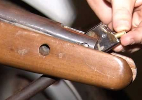 Tentando atirar em cobra, jovem mata mãe por acidente no Amazonas