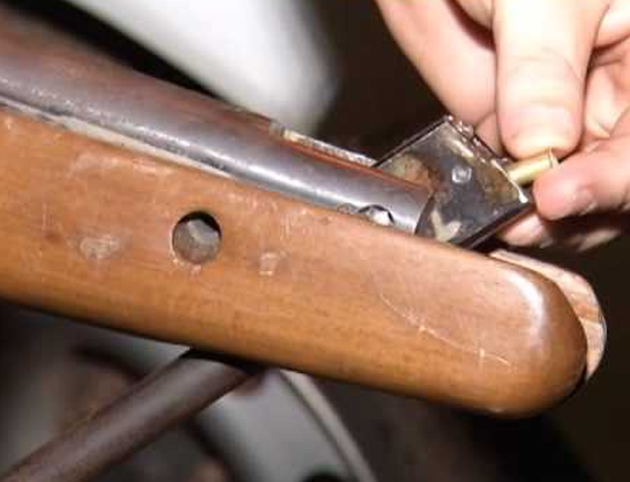 Tentando atirar em cobra, jovem mata mãe por acidente no Amazonas