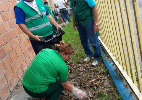 Prefeitura cria brigada de combate ao caramujo africano em Manaus