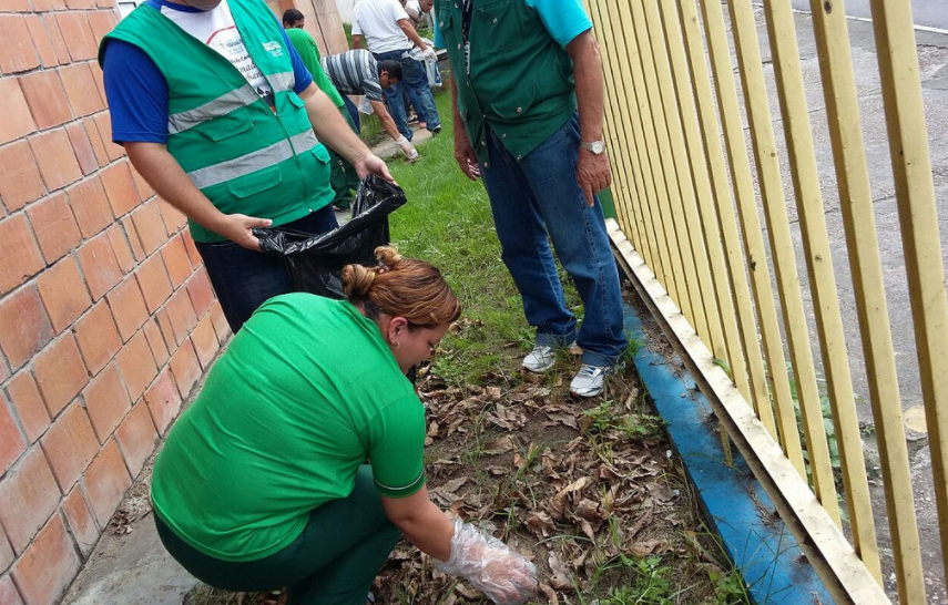 Prefeitura cria brigada de combate ao caramujo africano em Manaus