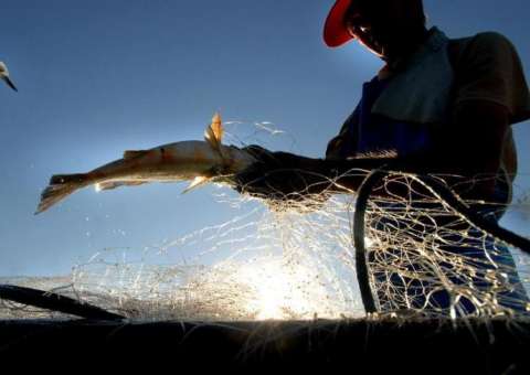 Burocracia deixa 7 mil pescadores  sem o seguro-defeso no Amazonas