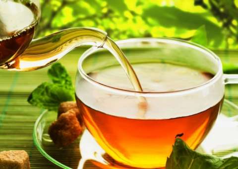 Beber chá diariamente pode reduzir risco de Alzheimer