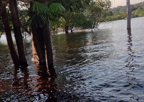 Poluição  mata igarapés da  bacia hidrográfica do Tarumã-Açu