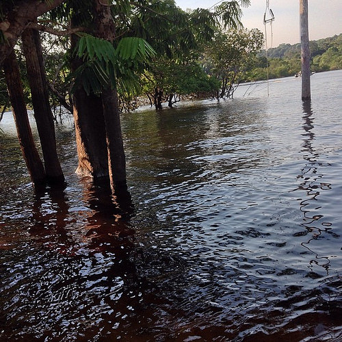 Poluição  mata igarapés da  bacia hidrográfica do Tarumã-Açu