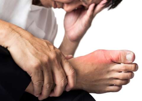 Erva ajuda a eliminar ácido úrico e melhorar as funções hepáticas 