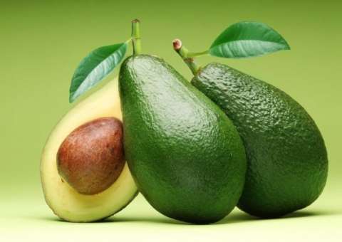 Conheça os benefícios do abacate 