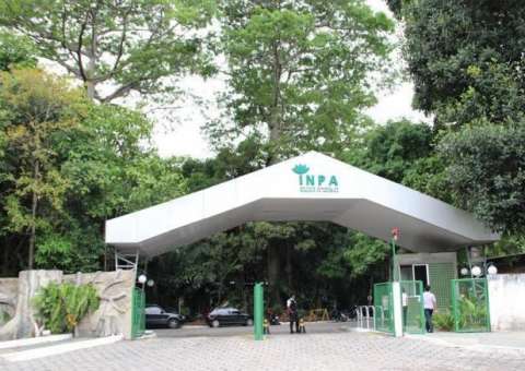  Inpa prorroga até sexta inscrições para  Programa de Iniciação Científica