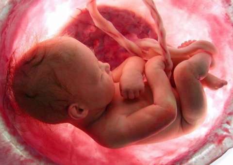 O que o bebê enxerga dentro da barriga? Especialista dá detalhes 