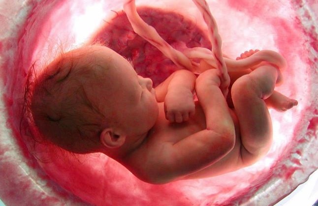 O que o bebê enxerga dentro da barriga? Especialista dá detalhes 