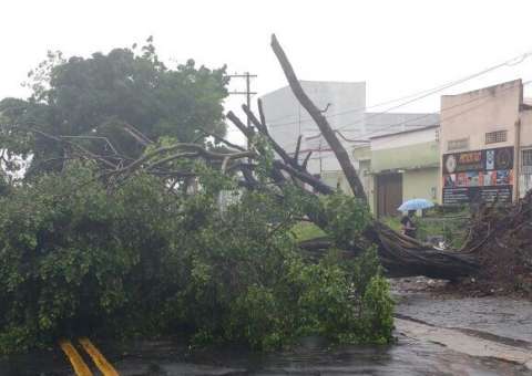Em Manaus, dez ocorrências são registradas em 8h de chuva