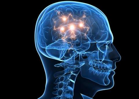 Usada na indústria cosmética, planta diminui frequência de ataques epiléticos   