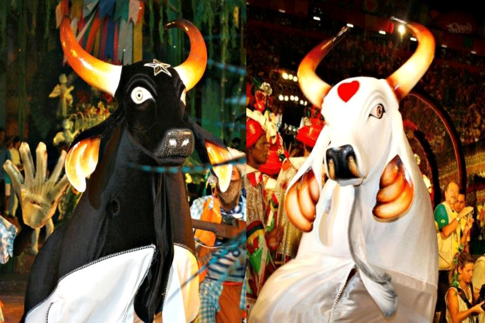 Tudo pronto para a Temporada de Boi-Bumbá no Teatro Amazonas