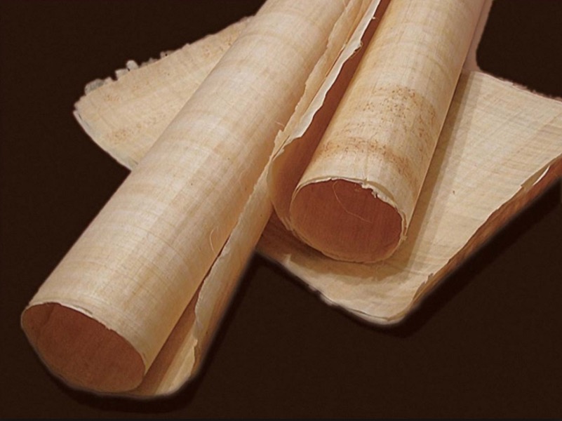 Conheça os benefícios do Papiro para a saúde 