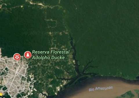 Cinco jovens desaparecem após entrarem em reserva em Manaus