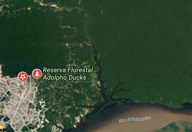 Cinco jovens desaparecem após entrarem em reserva em Manaus