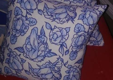 Estampa de almofada 'saliente' divide opinões na web   