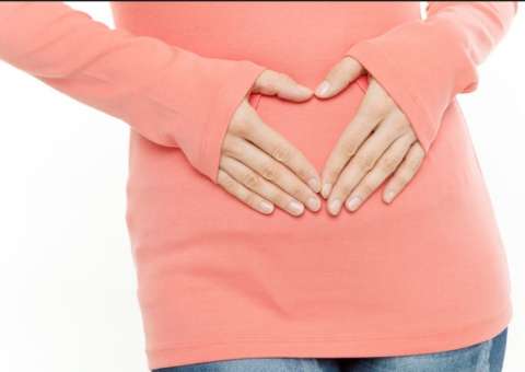 Conheça 9 propriedades de planta que combate insônia e digestão difícil 