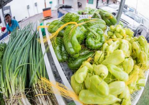 Feira incentiva produção e consumo agroecológico em Manaus