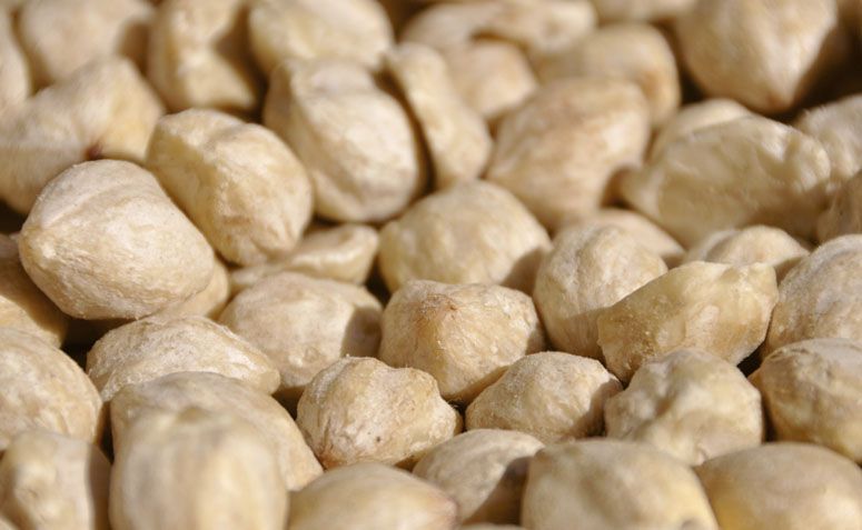 Com propriedades medicinais, planta ajuda a combater celulites