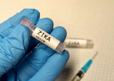 Vacina contra zika atinge resultados positivos 