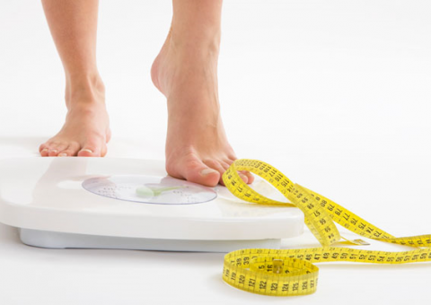 Boa para tratar problemas nas vias urinárias, planta também pode auxiliar em dietas 