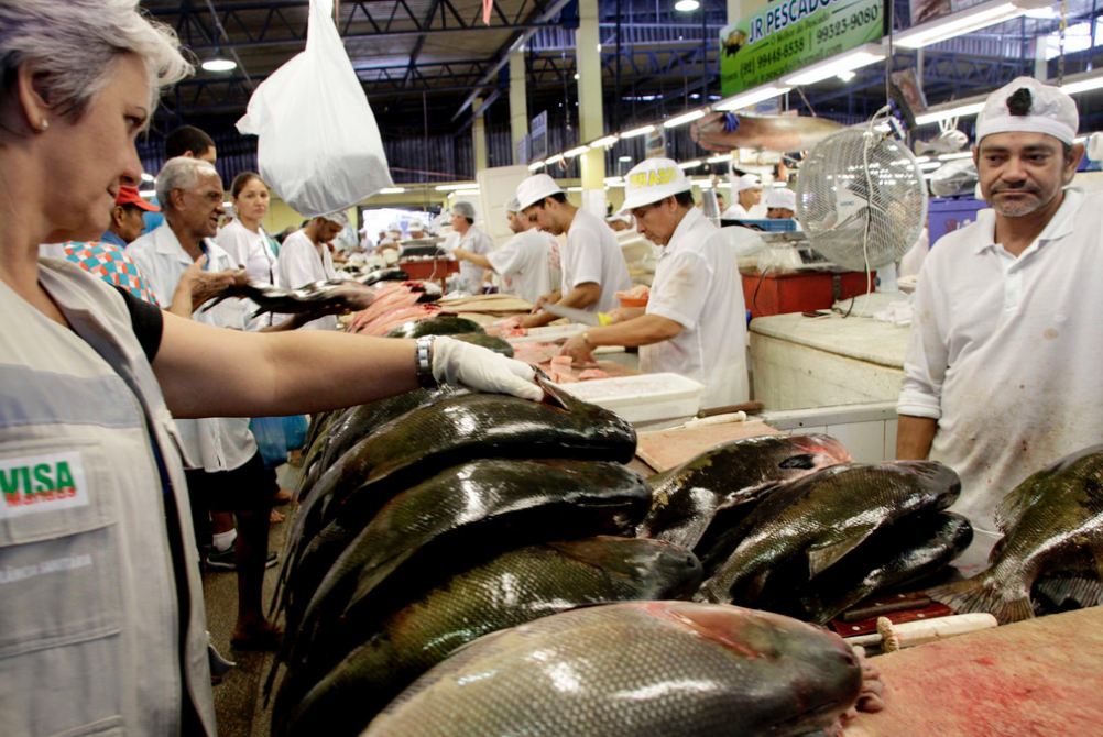  Vigilância Sanitária fiscaliza peixe vendido na Semana Santa