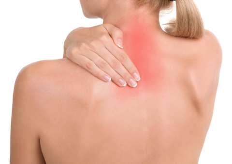 Espécie de Canela é indicada para dores crônicas de reumatismo 