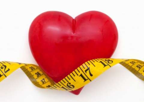 Vegetal é rico em nutrientes bons para reduzir colesterol 