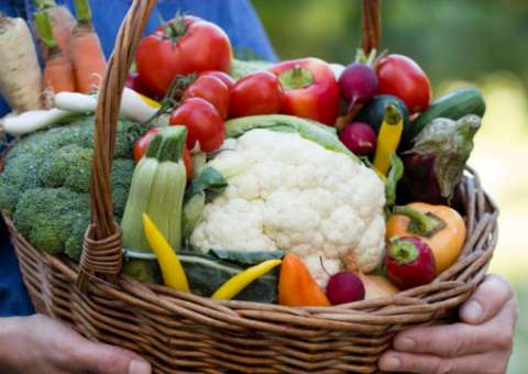 Em Manaus, Conselho de Segurança Alimentar e Nutricional passa por reestruturação  