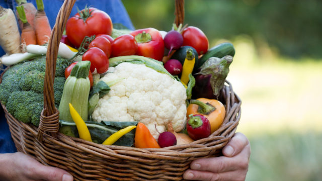 Em Manaus, Conselho de Segurança Alimentar e Nutricional passa por reestruturação  