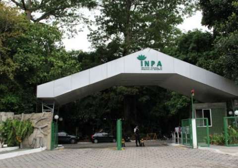 Inpa abre inscrições para mestrado e doutorado em Manaus
