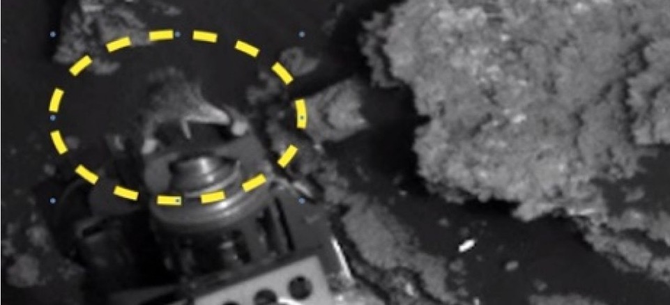 Criatura bizarra é flagrada em cima de sonda em Marte