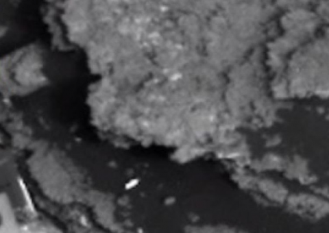 Suposto largato extraterrestre é flagrado em sonda de Marte