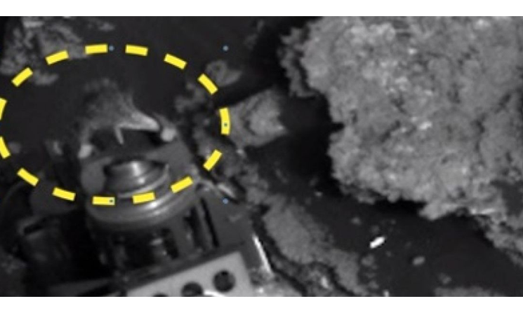 Suposto largato extraterrestre é flagrado em sonda de Marte