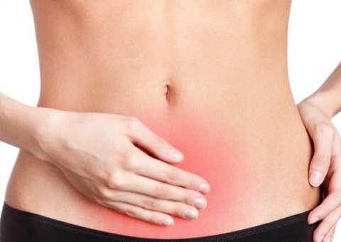 Tintura de planta medicinal pode ser útil contra cólicas e inflamações intestinais 