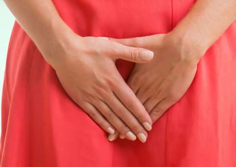 Fruta brasileira auxilia no tratamento de cistite e uretrite 