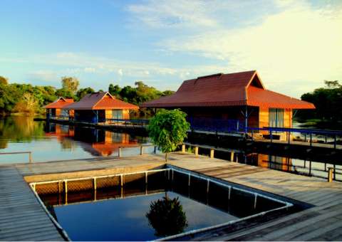 Instituto Mamirauá abre vaga com salário de R$2,5mil no Amazonas