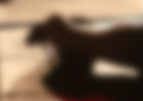 Decapitado e sem as mãos, corpo de homem é encontrado atrás de residência no AM