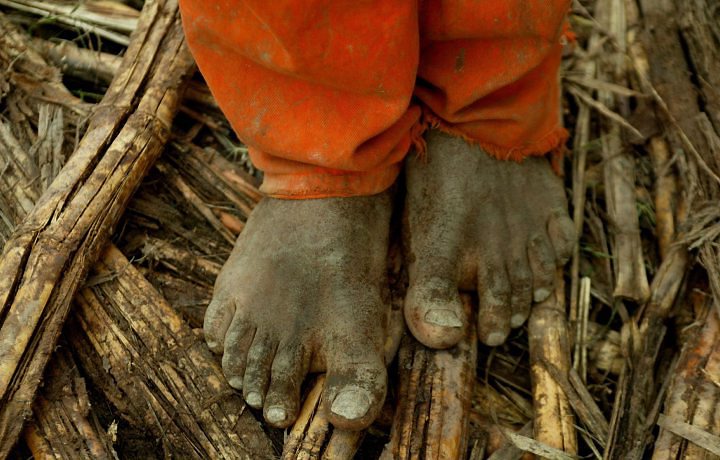 Trabalho escravo no Amazonas tem pena de cassação do ICMS por 10 anos