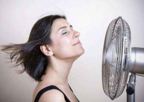 Óleo de planta é capaz de regular hormônios femininos na menopausa 