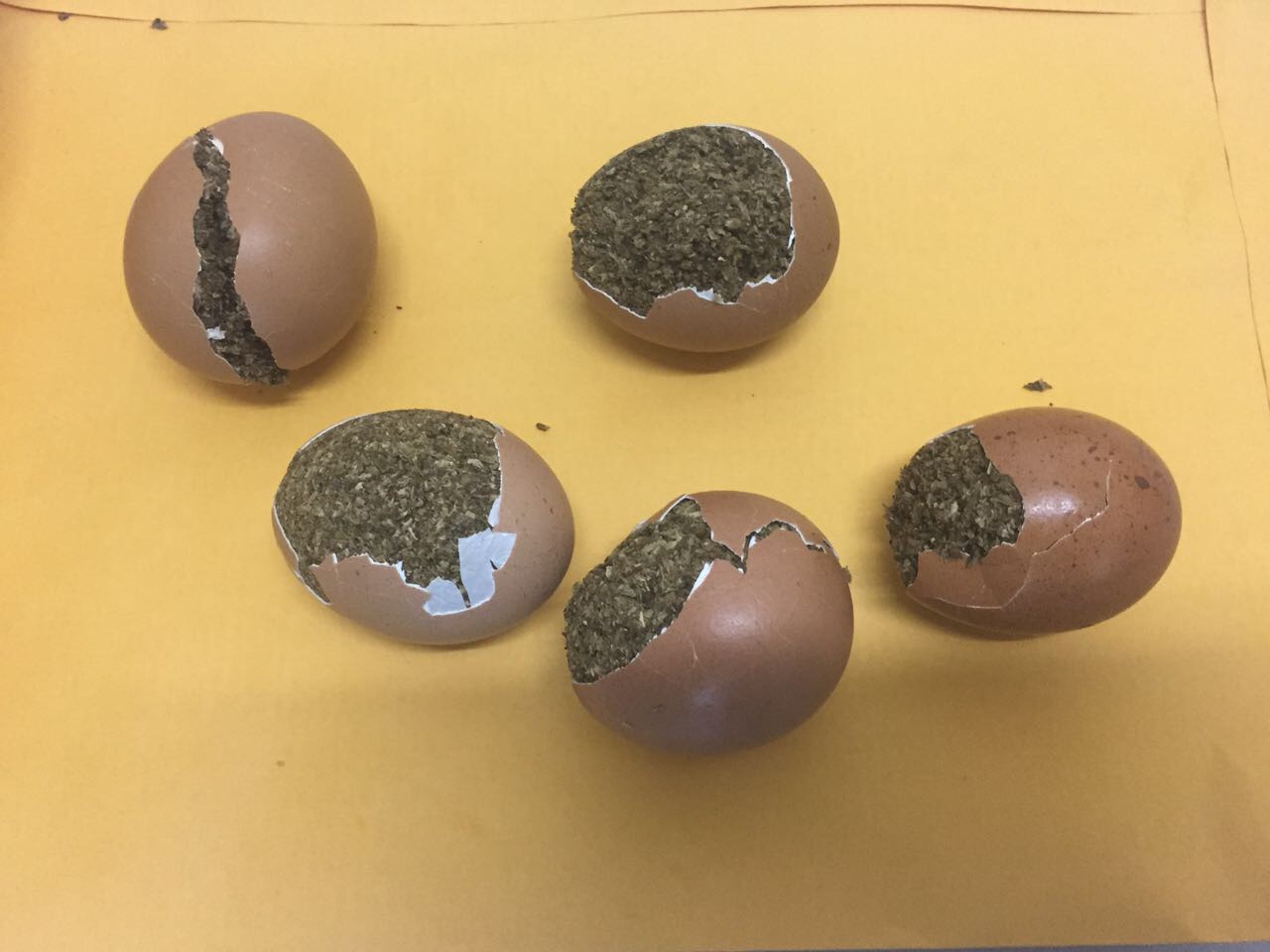 Homem tenta entrar com maconha dentro de ovos na UPP de Manaus