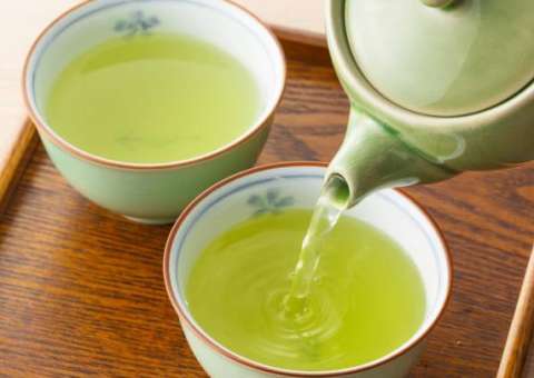 Chá verde é o elixir do emagrecimento comprovado pela ciência
