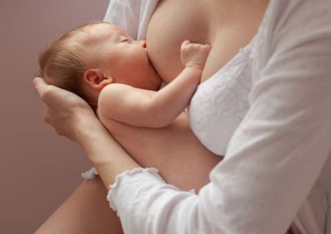 Planta com efeito cicatrizante é usada para tratar rachaduras nos seios 