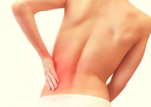 Cólicas renais e dores musculares podem ser tratadas com planta medicinal 