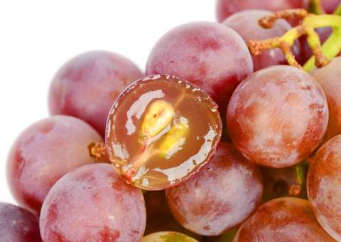 Sementes da Uva beneficiam a saúde e a beleza da pele 