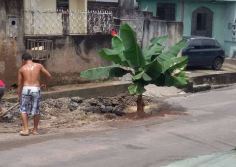 Revoltados com cratera há 3 meses, moradores plantam bananeira dentro de buraco em Manaus