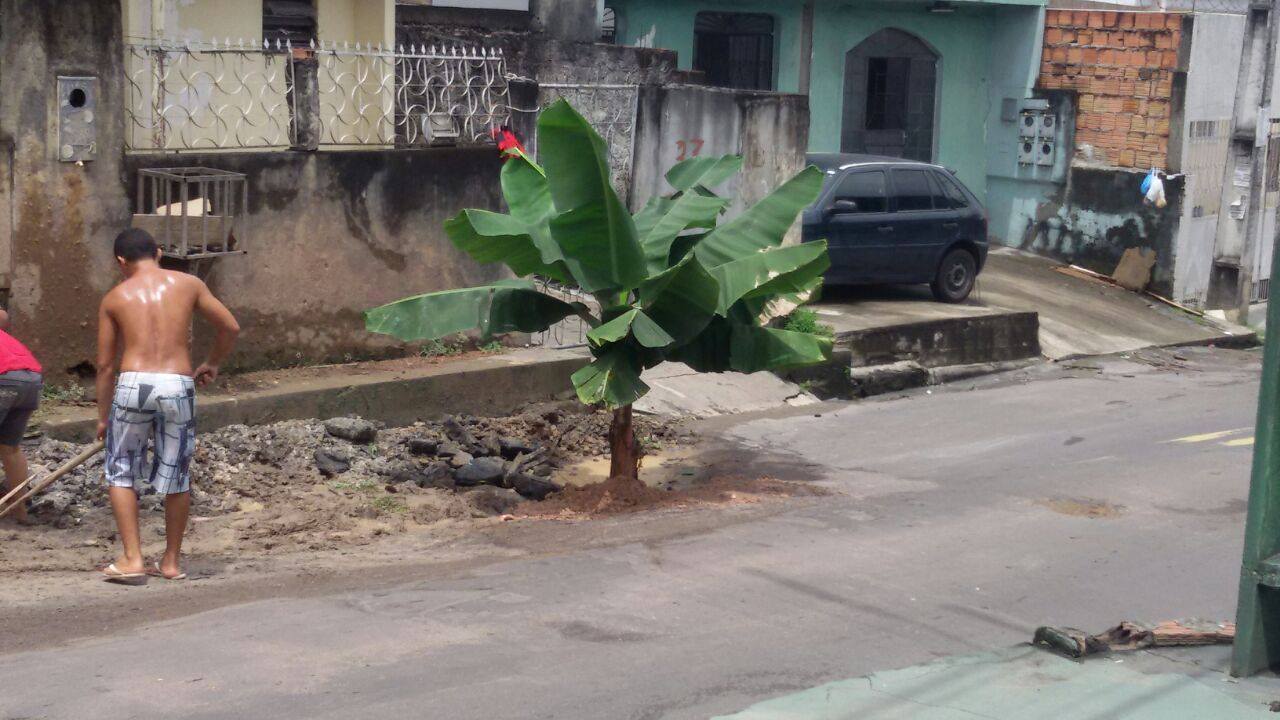 Revoltados com cratera há 3 meses, moradores plantam bananeira dentro de buraco em Manaus