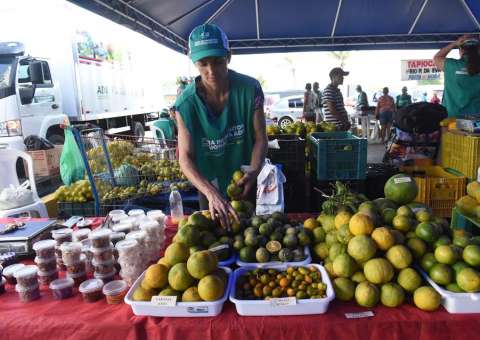  Feira Regional de Rio Preto comercializa mais de 10 mil produtos em duas edições