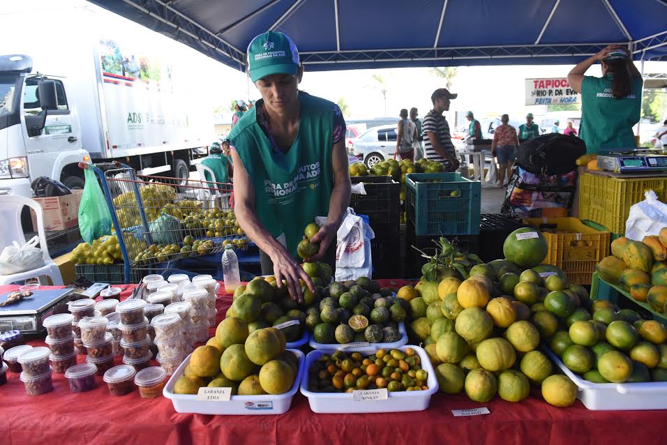  Feira Regional de Rio Preto comercializa mais de 10 mil produtos em duas edições